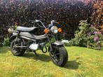 Suzuki rv50 en dax 50cc, Fietsen en Brommers, Brommers | Honda, Ophalen of Verzenden, Zo goed als nieuw