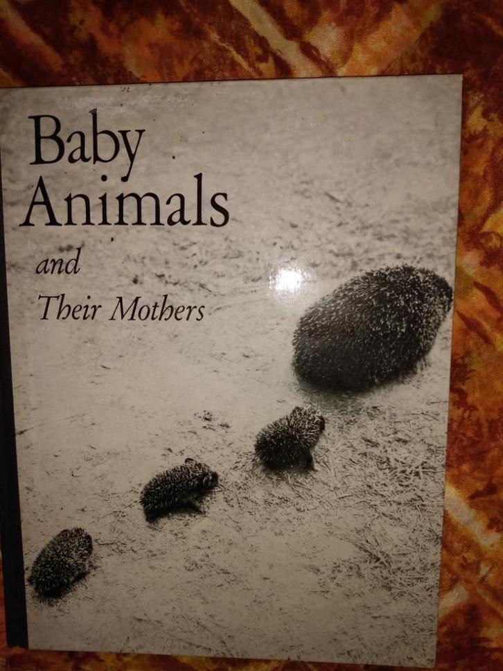 Babydieren en hun moeders, Boeken, Kunst en Cultuur | Fotografie en Design, Zo goed als nieuw, Techniek, Ophalen