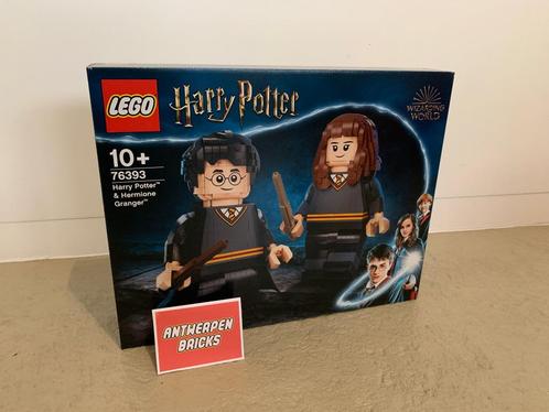 LEGO Harry Potter - Harry Potter & Hermelien Griffel (76393, Enfants & Bébés, Jouets | Duplo & Lego, Neuf, Lego, Ensemble complet