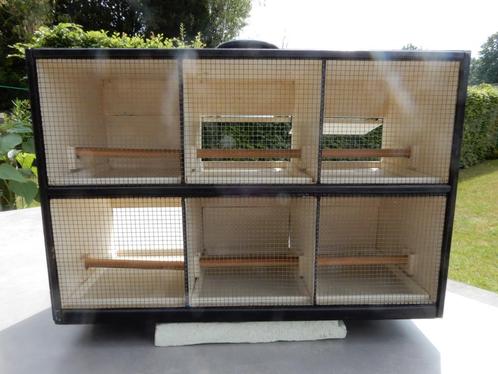 Transportbak, Dieren en Toebehoren, Vogels | Toebehoren, Ophalen