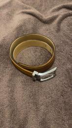 Ambiorix riem, Ambiorix, Cuir véritable, 95 à 105 cm, Autres couleurs