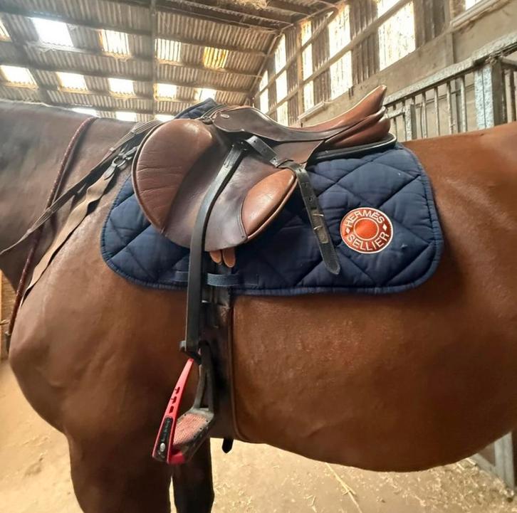 Tapis Hermès, Animaux & Accessoires, Chevaux & Poneys | Brides & Harnachement, Utilisé, Obstacle, Enlèvement ou Envoi