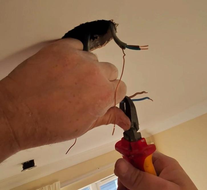 Betrouwbare elektricien voor kleine elektrische reparaties, Dieren en Toebehoren, Vogels | Overige Vogels