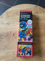 NIEUW Diamond painting (30x40cm), Hobby en Vrije tijd, Knutselen, Ophalen of Verzenden, Nieuw, Knutselwerk