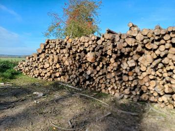bois de chauffage extra en 2m   beschikbaar voor biedingen