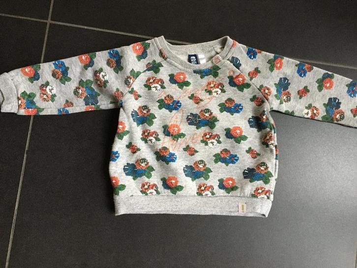 Pull of sweater WSP! maat 74, Kinderen en Baby's, Babykleding | Maat 74, Zo goed als nieuw, Meisje, Truitje of Vestje, Ophalen of Verzenden