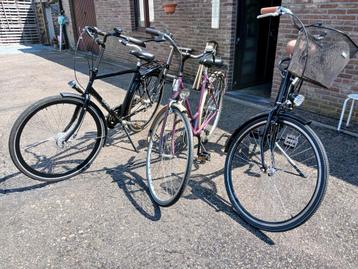 Één heren fiets batavus , twee dames fietsen   beschikbaar voor biedingen