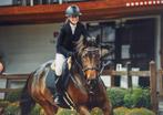 10 jarige allround merrie, Merrie, Met stamboom, Springpaard, 170 tot 175 cm