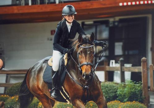 10 jarige allround merrie, Dieren en Toebehoren, Paarden, Merrie, 170 tot 175 cm, 7 tot 10 jaar, Springpaard, Met stamboom