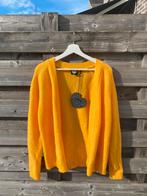 Pull en maille jaune Catwalk Junkie - taille XS, Jaune, Taille 34 (XS) ou plus petite, Catwalk Junkie, Enlèvement ou Envoi