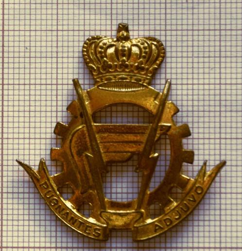 Insigne van het Belgian Army Logistics Battalion 1971, Verzamelen, Militaria | Algemeen, Landmacht, Embleem of Badge, Ophalen of Verzenden