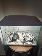 Aquarium juist leeg gemaakt wegens aanschaf grotere, Dieren en Toebehoren, Vissen | Aquaria en Toebehoren, Ophalen