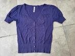 Mooie zomerse blauwe gilet mt 42, Kleding | Dames, Truien en Vesten, Ophalen, Gedragen, Maat 42/44 (L), Blauw