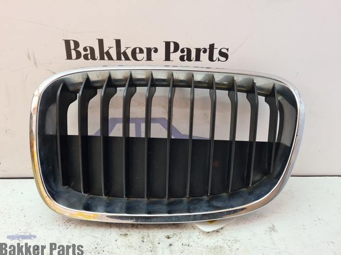 Grille van een BMW 1-Serie, Auto-onderdelen, Carrosserie, BMW, Gebruikt, 3 maanden garantie