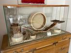 Cage en verre, terrarium rongeurs, reptiles, Animaux & Accessoires, Rongeurs & Lapins | Cages & Clapiers, Neuf, Moins de 60 cm