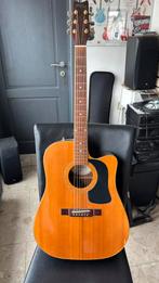 Washburn D10SCE-DL, Muziek en Instrumenten, Snaarinstrumenten | Gitaren | Akoestisch, Ophalen, Gebruikt