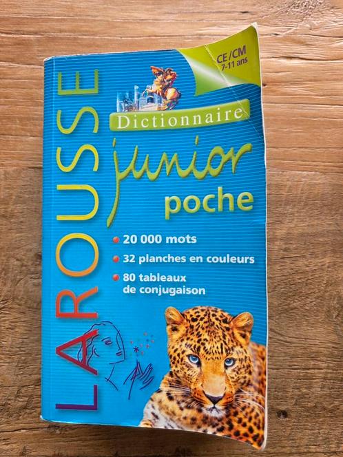 Dictionnaires FR et ANG, Anti-fautes orthograph. secondaire, Boeken, Schoolboeken, Zo goed als nieuw, ASO, Ophalen