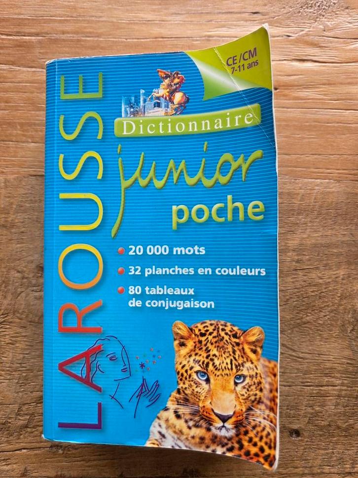 Dictionnaires FR et ANG, Anti-fautes orthograph. secondaire, Boeken, Schoolboeken, Zo goed als nieuw, ASO, Ophalen
