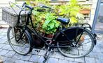 Old Dutch zwarte Batavus damesfiets, Fietsen en Brommers, Fietsen | Dames | Omafietsen, 53 tot 56 cm, Ophalen, Zo goed als nieuw