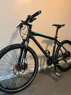 VTT FOCUS, Autres marques, 49 à 53 cm, Enlèvement, Hommes