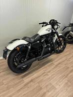 harley davidson, 2 cilinders, Bedrijf, 883 cc, Meer dan 35 kW