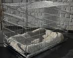 Cage d'intérieur pour chien, Animaux & Accessoires, Accessoires pour chiens, Comme neuf, Enlèvement