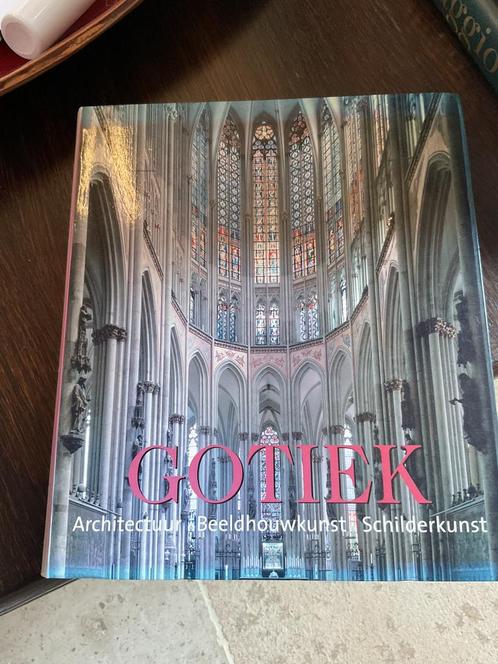 Schitterend boek Gotiek, Boeken, Kunst en Cultuur | Architectuur, Ophalen of Verzenden