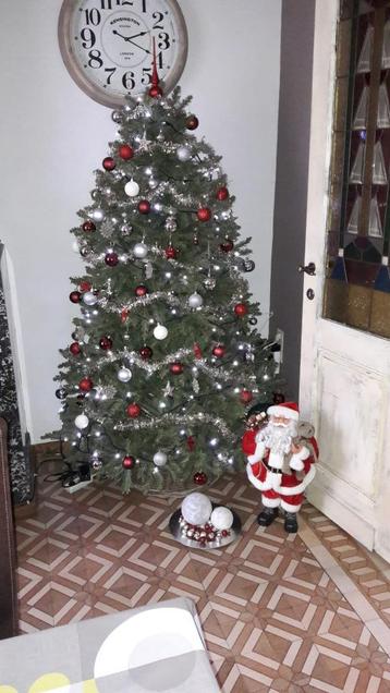 Sapin de Noël (sans décoration), Divers, Enlèvement, Comme neuf