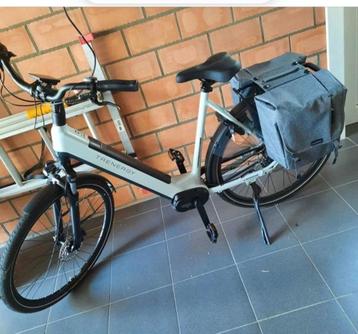 Trenergy E-bike