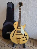 guitare neuf avec étuis et accessoires, Muziek en Instrumenten, Snaarinstrumenten | Gitaren | Elektrisch, Ophalen, Nieuw