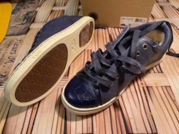 schoenen uggs beschikbaar voor biedingen