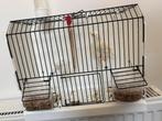 canari mosaïque, Dieren en Toebehoren, Vogels | Hokken en Kooien, Ophalen of Verzenden, Zo goed als nieuw