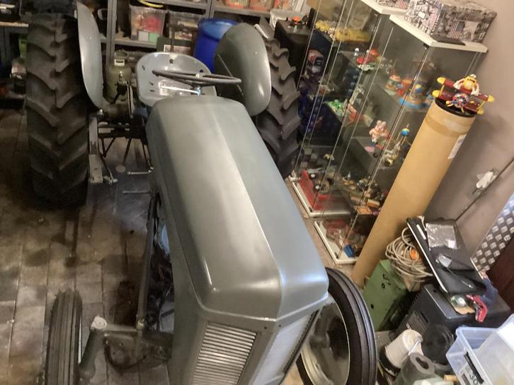 Tef 20, Articles professionnels, Agriculture | Tracteurs, Massey Ferguson, Oldtimer/Ancêtre, Enlèvement