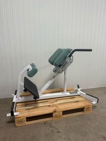 Hammer strength hyperextension/ rug trainer/ beschikbaar voor biedingen