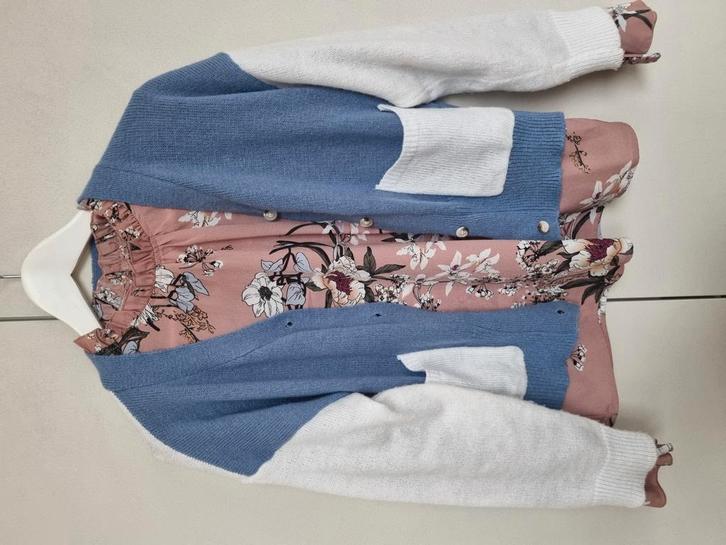 Set van bloes + bijhorende gilet maat large, Kleding | Dames, Dames-kledingpakketten, Zo goed als nieuw, Maat 42/44 (L), Ophalen of Verzenden