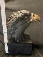 Bronzen arendskop 34 cm XXXL A.Thornbum 14 kilo zuiver brons, Antiek en Kunst, Kunst | Beelden en Houtsnijwerken, Ophalen of Verzenden