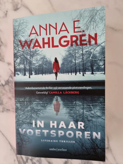 Anna E. Wahlgren - In haar voetsporen, Livres, Thrillers, Neuf, Enlèvement ou Envoi