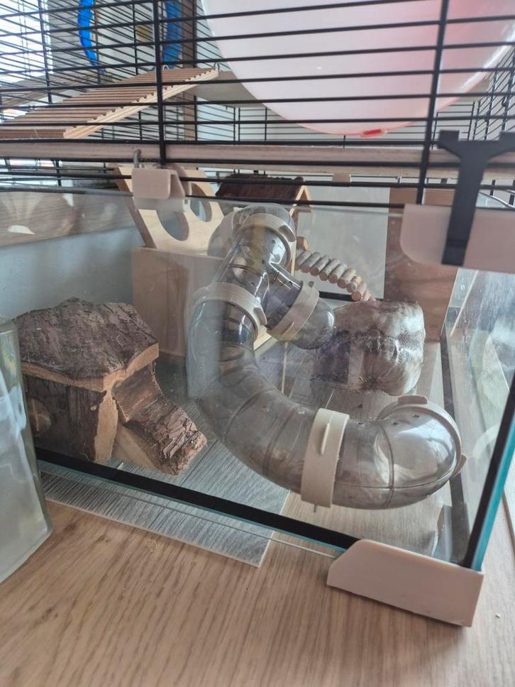 Knaagdieren kooi, Dieren en Toebehoren, Knaagdieren en Konijnen | Hokken en Kooien, Zo goed als nieuw, Kooi, Ophalen