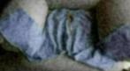 Pantalon ceinture élastiquée gris clair 12 ans (152), Enfants & Bébés, Vêtements enfant | Taille 152, Utilisé, Garçon, Enlèvement ou Envoi