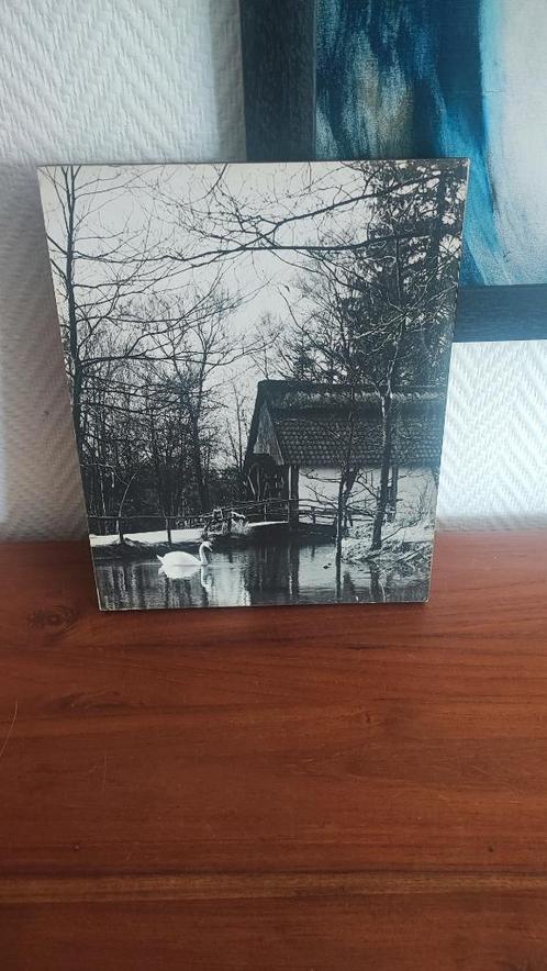 Vintage foto, landschap met zwaan op houten plaat, Antiek en Kunst, Curiosa en Brocante, Ophalen of Verzenden