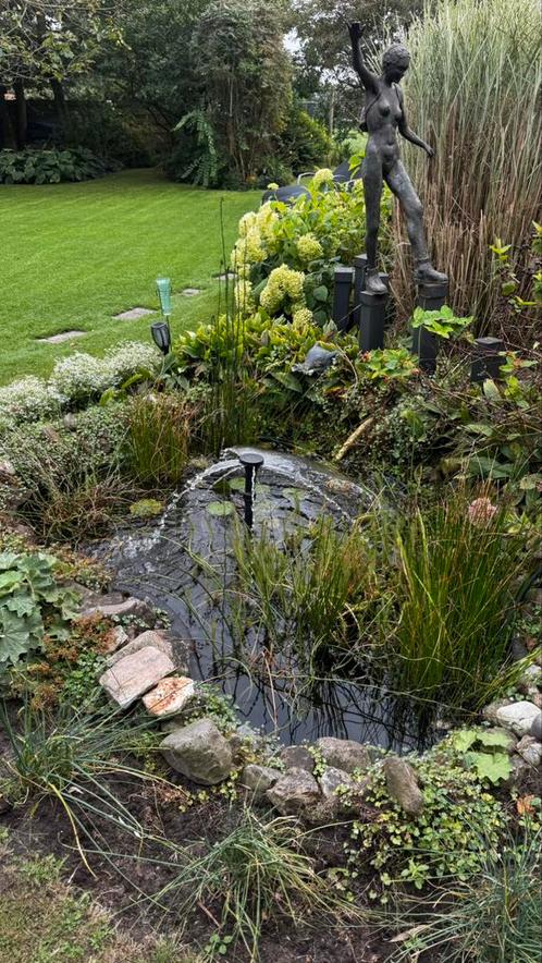 Voorgevormde vijver, Tuin en Terras, Vijvers, Ophalen