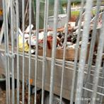 Hondenkennel 2 op 3 meter, Dieren en Toebehoren, Hondenhokken, Ophalen, Hondenkennel, 110 cm of meer, 100 cm of meer