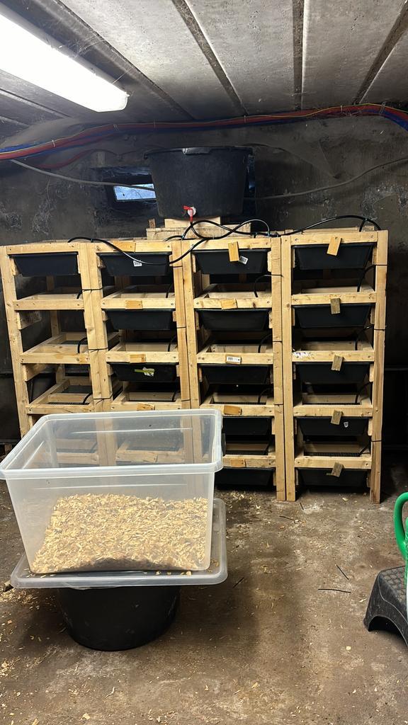 Kweekbakken voor ratten en muizen., Animaux & Accessoires, Reptiles & Amphibiens, Autres espèces, 0 à 2 ans, Avec terrarium