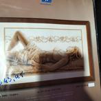 Borduurpakket vervaco, Hobby en Vrije tijd, Ophalen of Verzenden, Borduurpakket