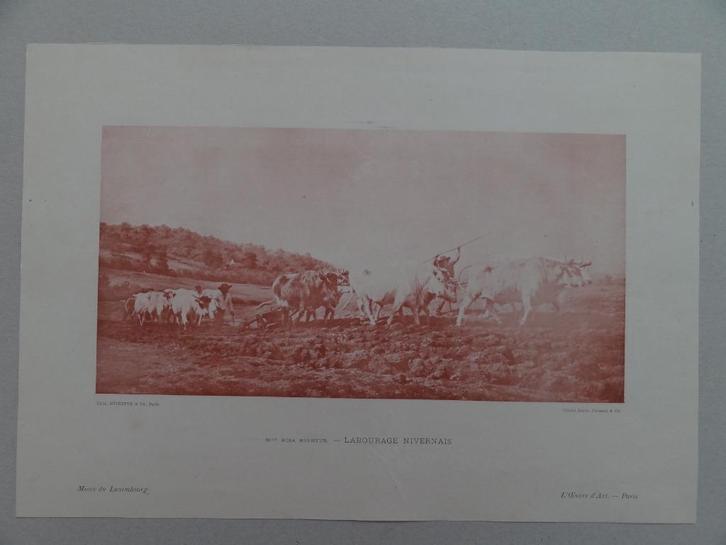 Rosa Bonheur, La labourage Nivernais, Musée du Luxembourg, Antiek en Kunst, Kunst | Etsen en Gravures, Verzenden