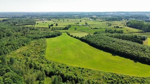 Domaine sur 9 hectares, Immo, Huizen en Appartementen te koop, Provincie Luxemburg, 1500 m² of meer, Vrijstaande woning, D