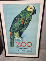 Origineel affichr ontwerp zoo van Antwerpen jaren 1950, Verzamelen, Ophalen of Verzenden, Zo goed als nieuw