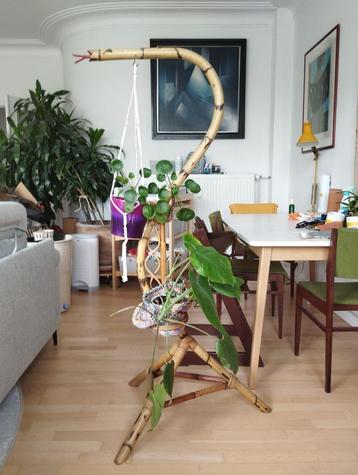 bambooslang plantenhouder beschikbaar voor biedingen