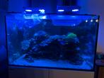 Zeeaquarium zonder toebehoren, Dieren en Toebehoren, Vissen | Aquaria en Toebehoren, Ophalen, Gebruikt