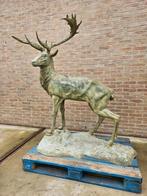 BRONZEN PRACHTIG HERT MET GROOT GEWEI OP BRONZEN VOETPLAAT!!, Ophalen of Verzenden, Zo goed als nieuw, Overige materialen, Dierenbeeld